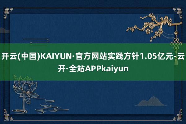 开云(中国)KAIYUN·官方网站实践方针1.05亿元-云开·全站APPkaiyun
